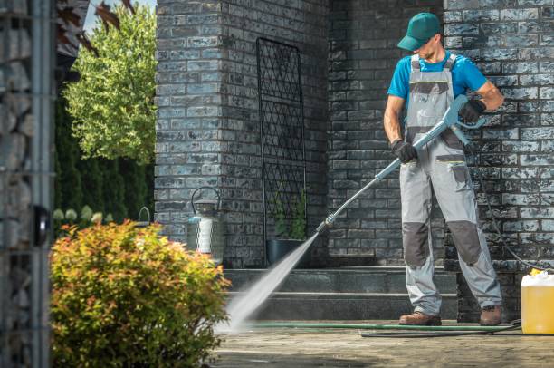Best Driveway Cleaning and Restoration in Maury, NC