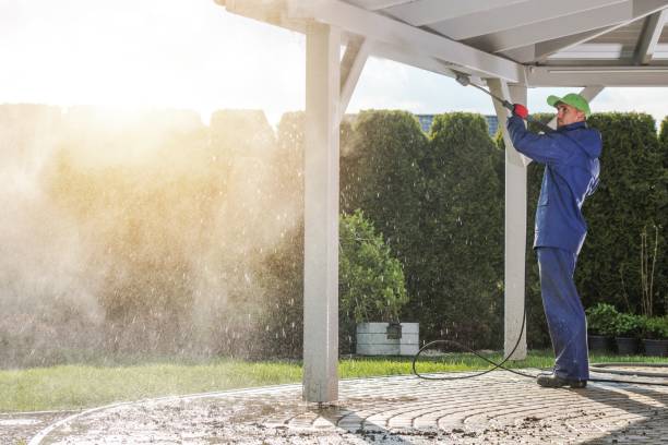 Best Pool Deck Cleaning in Maury, NC
