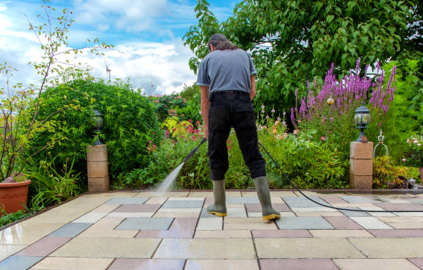 Best Brick and Stone Cleaning in Maury, NC